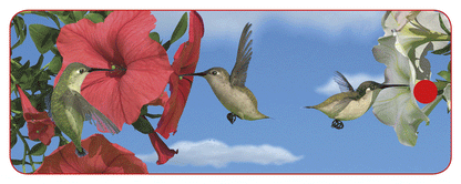 SKU : 16862 - Hummingbirds - Motion Bookmark