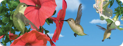 SKU : 16862 - Hummingbirds - Motion Bookmark