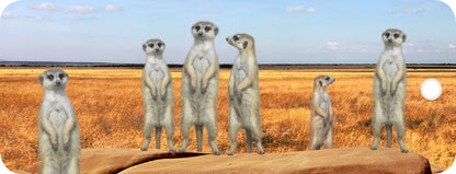 SKU : 16887 - Meerkats - Motion Bookmark