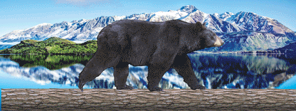 SKU : 16893 - Black Bear Walking - Motion Bookmark