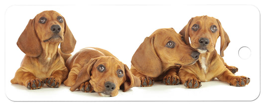 SKU : 16896 - Dogs - Motion Bookmark