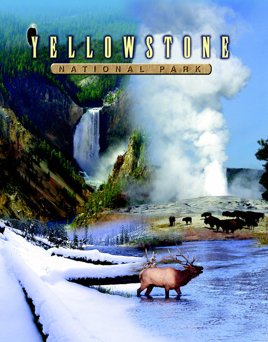 SKU : 20170 - Yellowstone - 3D Magnet