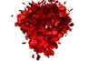 SKU : 20216 - Heart Petals - Motion Magnet