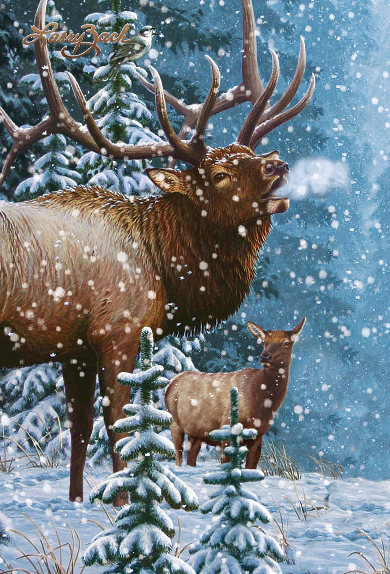 SKU : 20303 - Elk - Motion Postcard