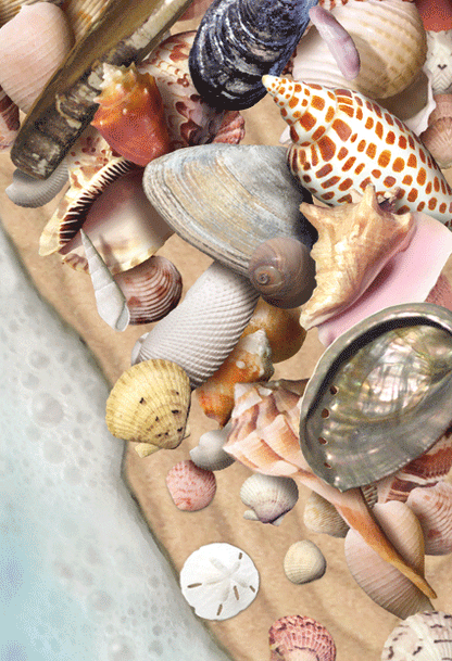 SKU : 20307 - She Sells Sea Shells - Motion Postcard