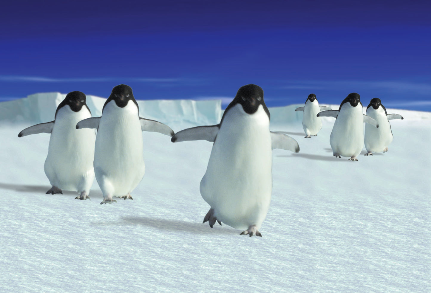 SKU : 20315 - Penguins - Motion Postcard