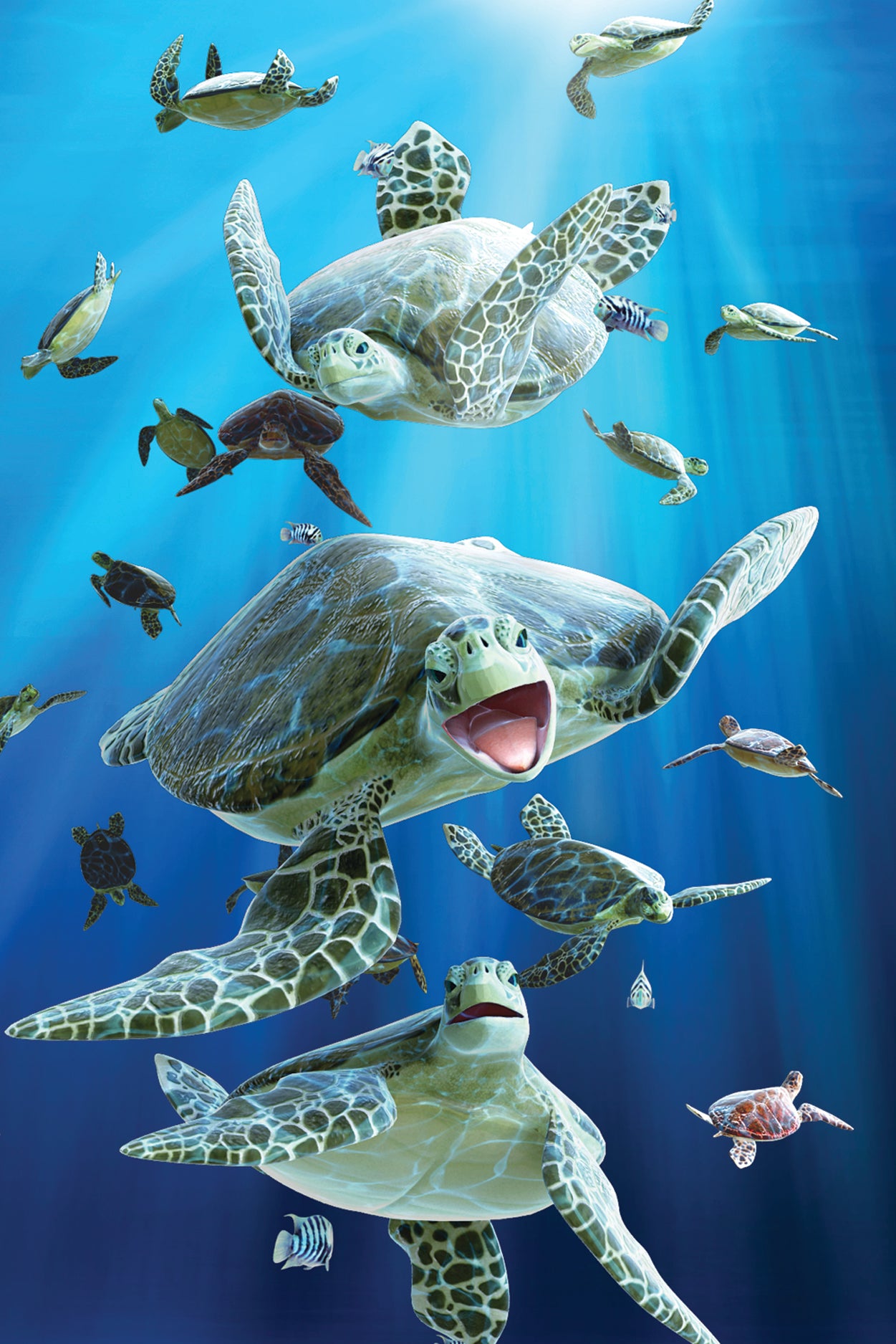 SKU : 20325 - Turtles - 3D Postcard