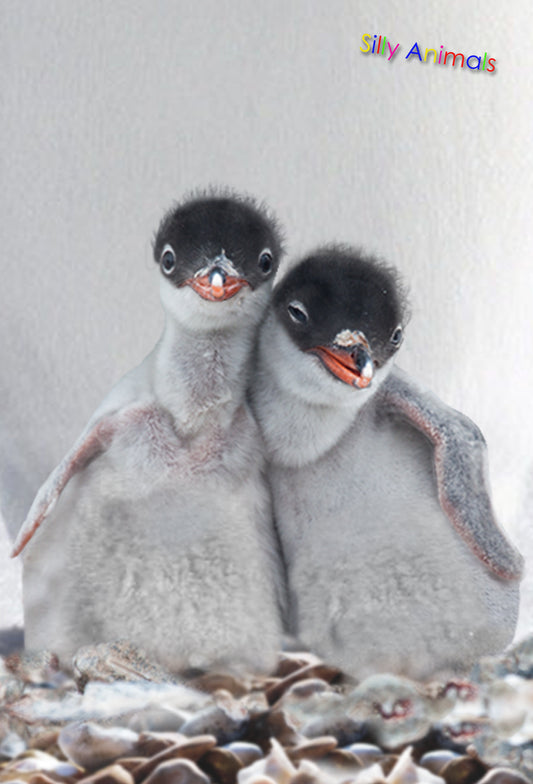 SKU : 20343 - Penguin Besties - 3D Postcard