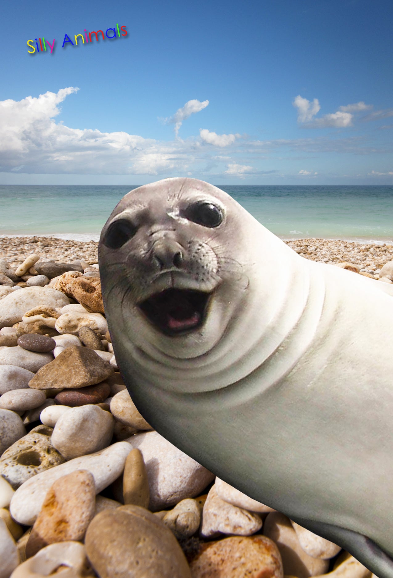 SKU : 20344 - Seal Selfie - 3D Postcard