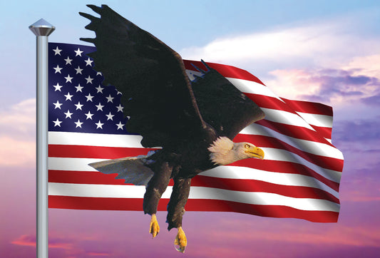 SKU : 20361 - Eagle Flag - Motion Postcard