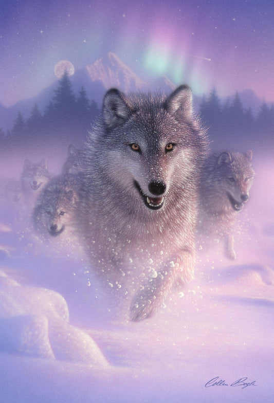 SKU : 20380 - Northern Lights Wolf - 3D Postcard