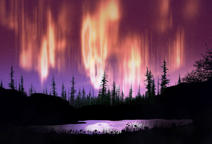 SKU : 20381 - Northern Lights Forest - Motion Postcard