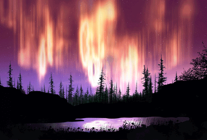 SKU : 20381 - Northern Lights Forest - Motion Postcard