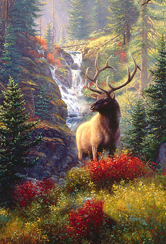 SKU : 20395 - Bull Elk - 3D Postcard