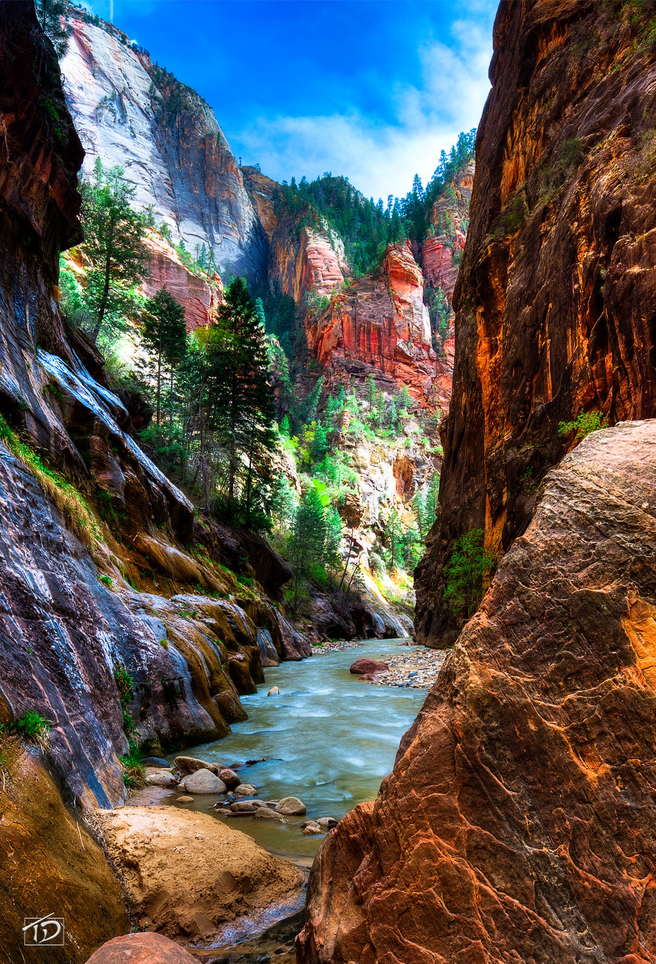 SKU : 20406 - Canyon Light- 3D Postcard