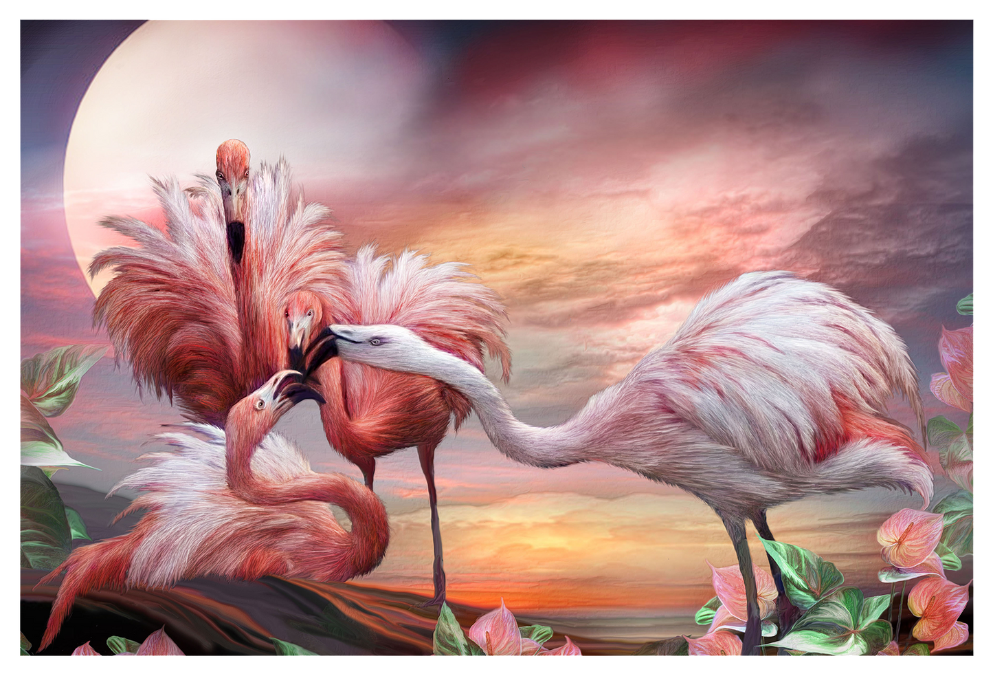 SKU : 20407 - Kissing Flamingoes - 3D Postcard