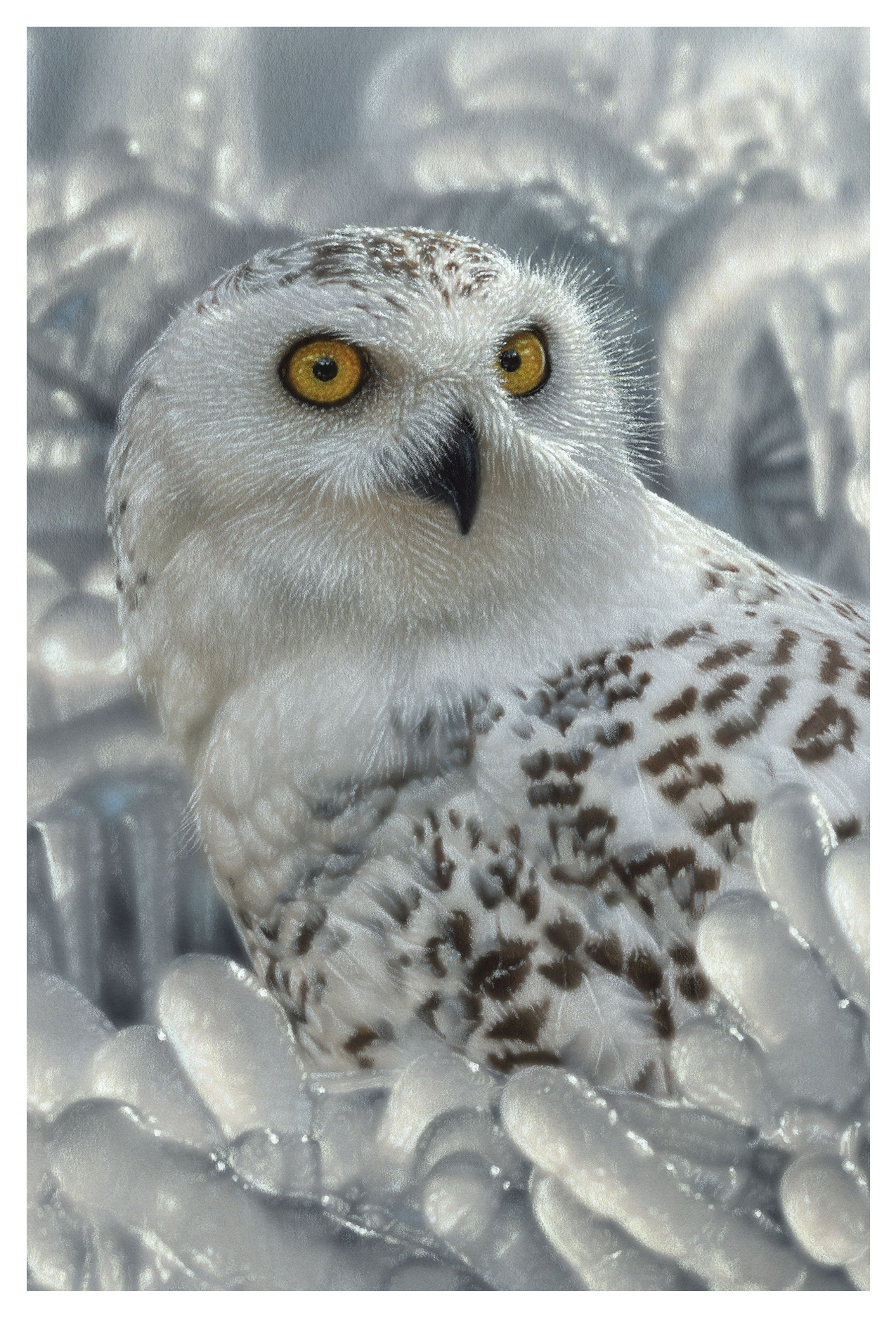 SKU : 20408 - Snow Owl - 3D Postcard