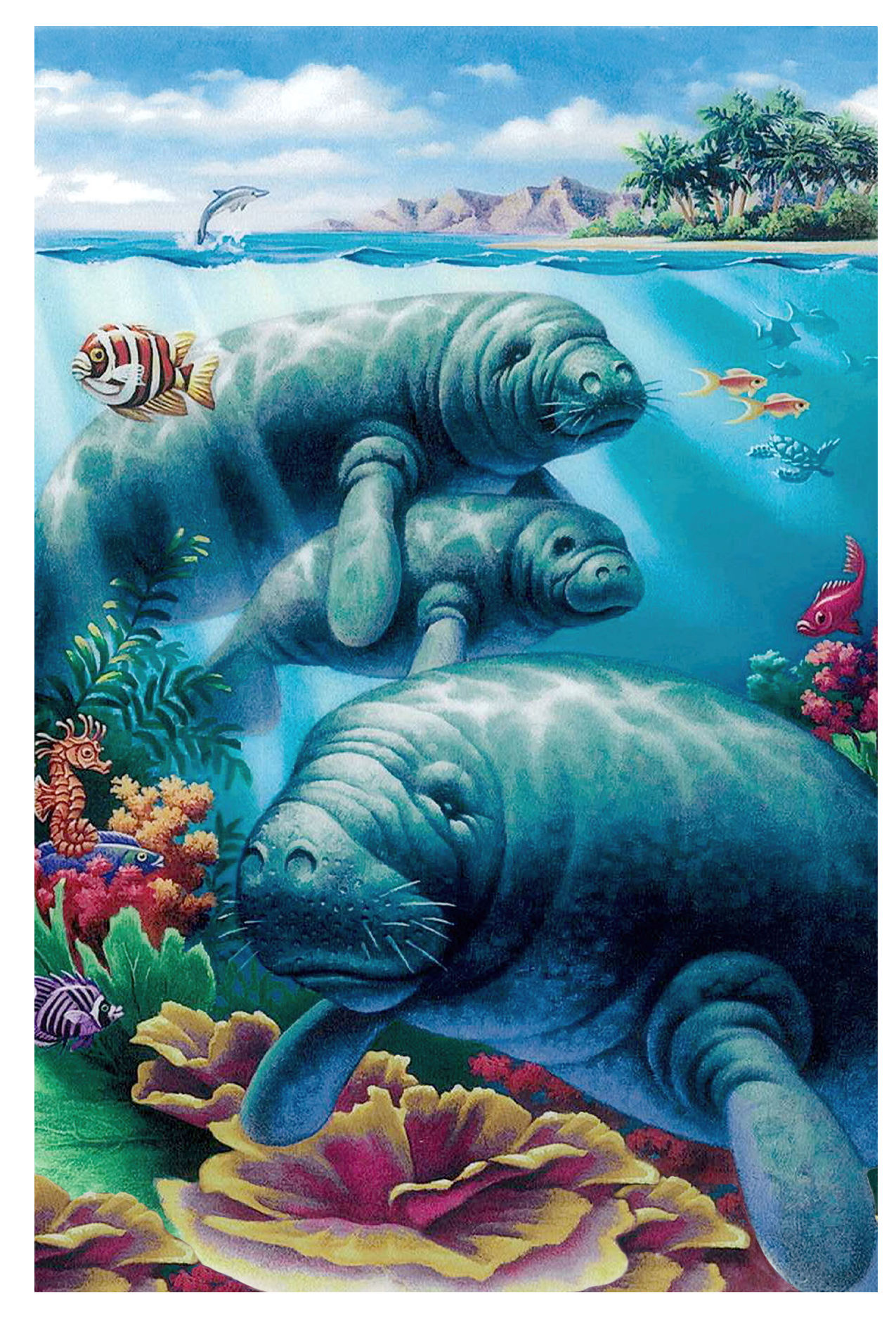 SKU : 20409 - Manatees - 3D Postcard