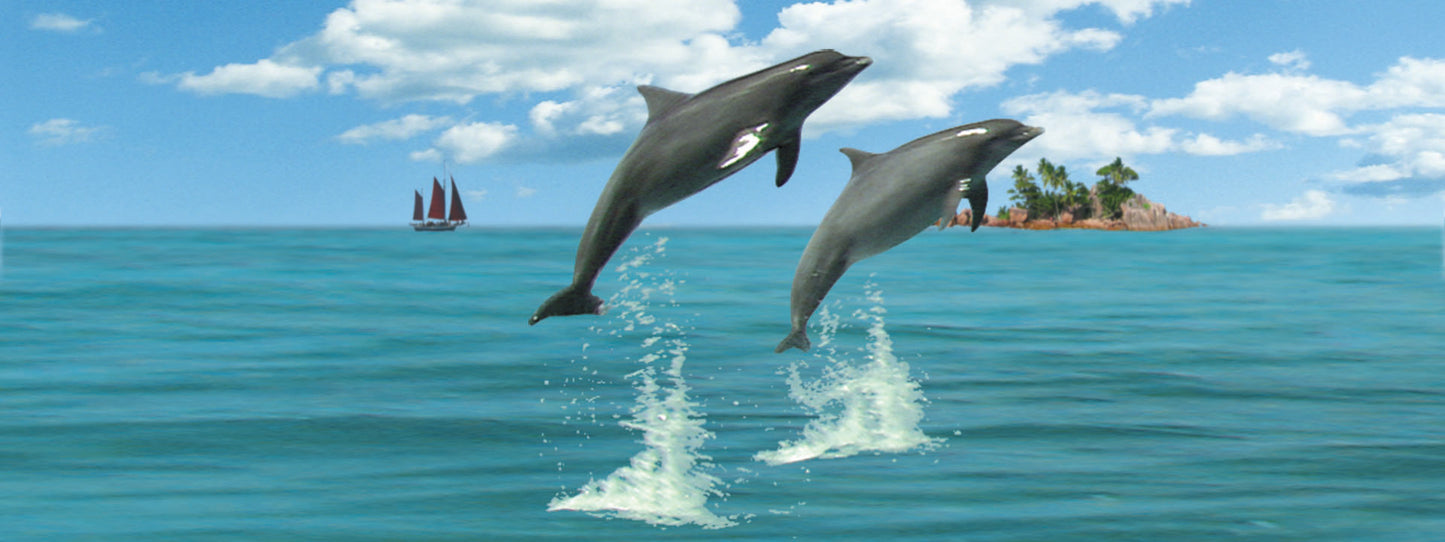 SKU : 810 - Dolphins Jumping - Motion Bookmark/ 6" Ruler