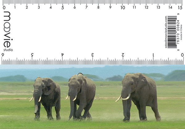 SKU : 824 - Elephants - Motion Bookmark/ 6" Ruler