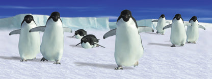 SKU : 839 - Penguins Walking - Motion 6" Ruler