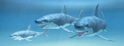 SKU : 843 - Sharks - Motion 6" Ruler