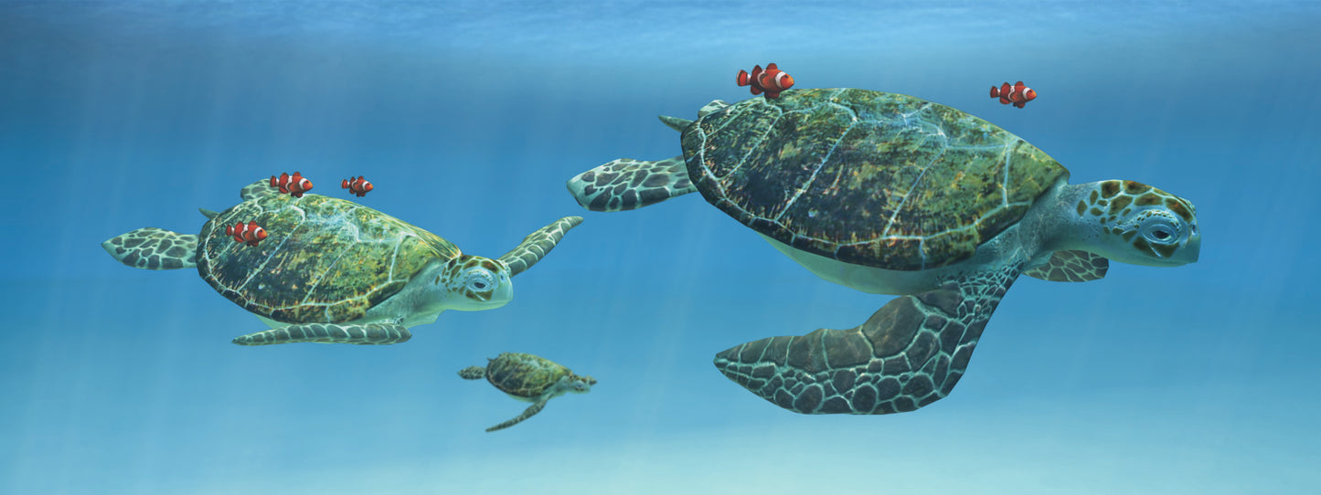 SKU : 845 - Sea Turtles - Motion Bookmark/ 6" Ruler