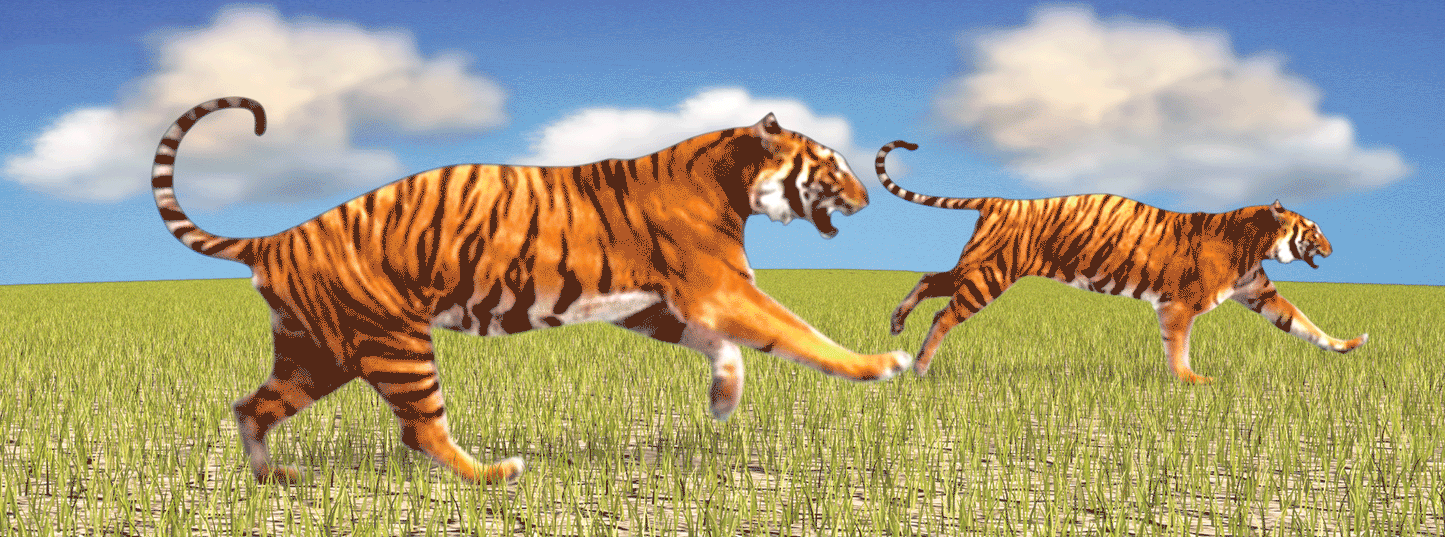 SKU : 861 - Tigers - Motion Bookmark/ 6" Ruler