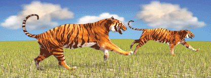 SKU : 861 - Tigers - Motion Bookmark/ 6" Ruler
