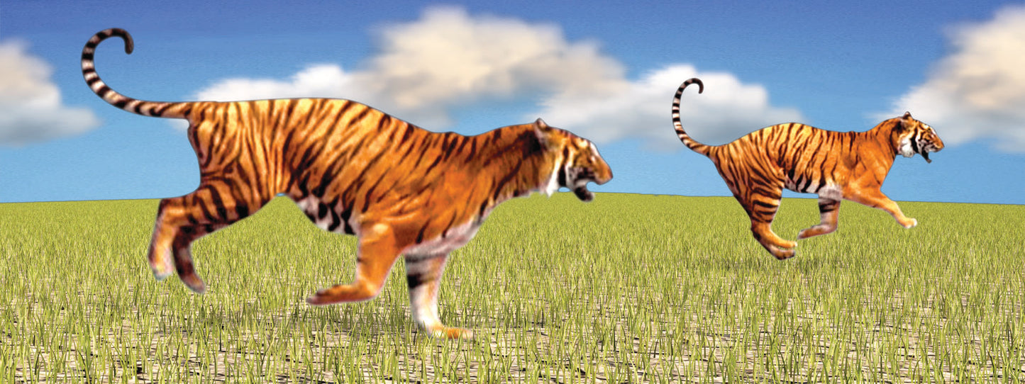 SKU : 861 - Tigers - Motion Bookmark/ 6" Ruler