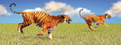 SKU : 861 - Tigers - Motion Bookmark/ 6" Ruler