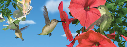 SKU : 862 - Hummingbirds - Motion Bookmark/ 6" Ruler