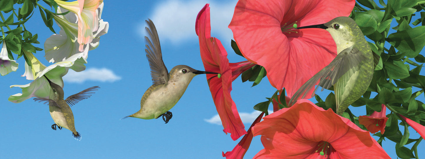 SKU : 862 - Hummingbirds - Motion 6" Ruler