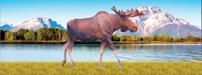 SKU : 890 - Moose Walking - Motion Bookmark/ 6" Ruler
