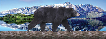 SKU : 893 - Black Bear Walking - Motion Bookmark/ 6" Ruler