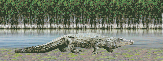 SKU : 932 - Crocodile - Motion 6" Ruler