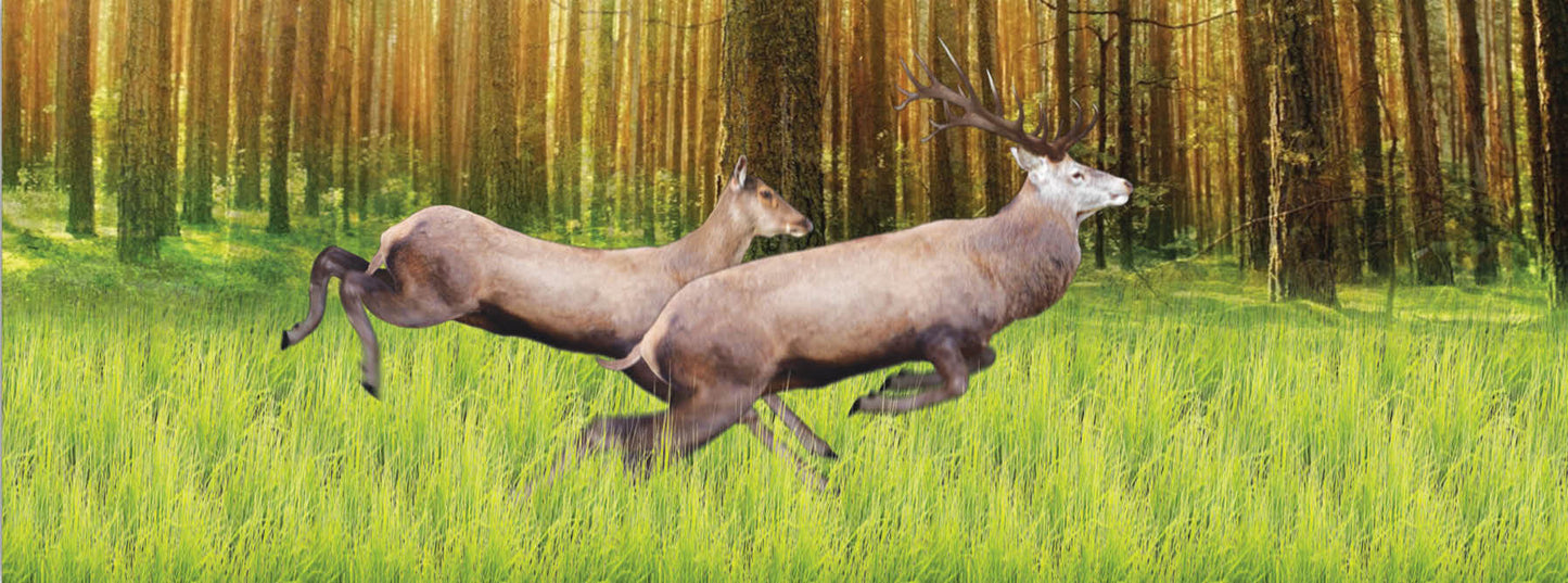 SKU : 933 - Deer Jumping - Motion 6" Ruler