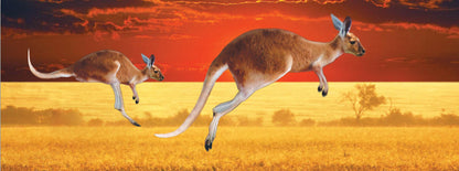 SKU : 936 - Kangaroos - Motion Bookmark/ 6" Ruler