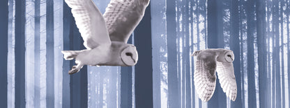 SKU : 945 - Snow Owl - Motion Bookmark/ 6" Ruler